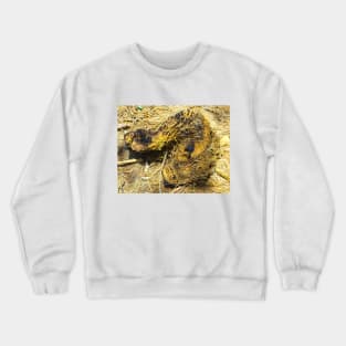 A dead wood looks like an animal Crewneck Sweatshirt